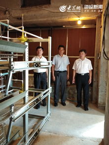 全市兽用抗菌药使用减量化行动试点启动仪式在莒县举行