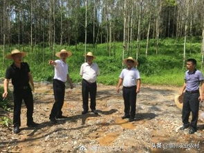 惠州市农业农村局副局长李冠源到龙门县现场督查中央环保督察整改任务落实情况