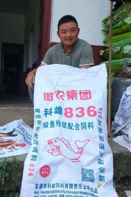 牵手 傲农6个月,常德科雄单月销量上涨超2倍,8月销量突破9000吨
