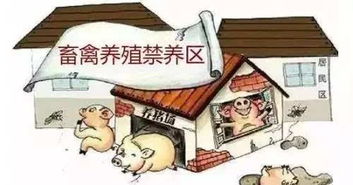 重磅消息 钦州首次划定畜禽禁养区,在哪些地方你知道吗