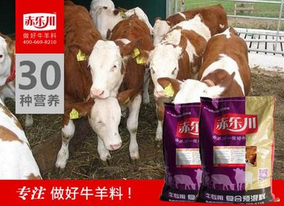 甘肃犊牛增肥饲料N350_百川网