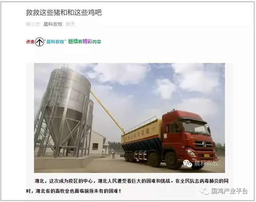饲料告急！湖北龙头养鸡企业仅剩3天库存，畜牧业协会紧急呼吁救急