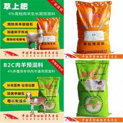 羊吃什么饲料长得快？科学养羊饲料指南