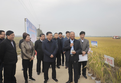 央媒密集聚焦之下，安徽探索饲料产业新路径 科技创新赋能绿色发展